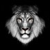 Ali Syed (@syedalinaqvi21) Twitter profile photo Ali Syed (@syedalinaqvi21) Twitter profile photo