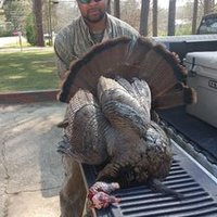 Josh Stewart (@joshste2185) 's Twitter Profile