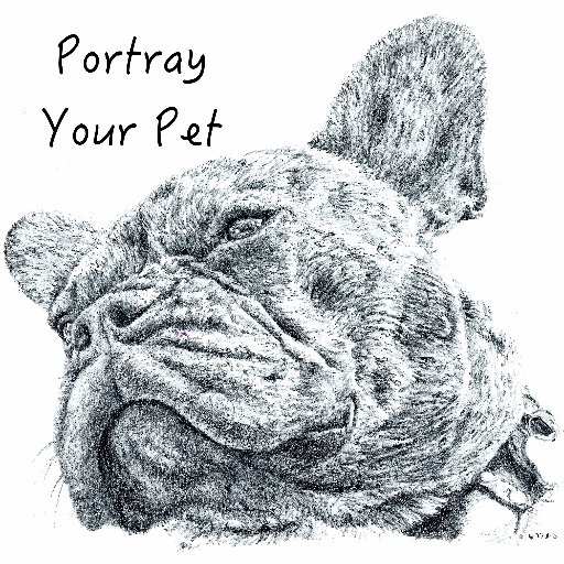 Lovingly drawn pencil portraits of your pets.
I don’t update this account anymore but you can follow me at @ian_hedley instead.