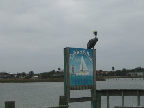 deeYteam's profile picture. Broker Associate, Acredited Buyer Representative, Coldwell Banker, Ron Brown Co., 37 years of real estate experience.