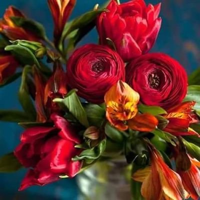 mduclairon's profile picture. improve your life every day.