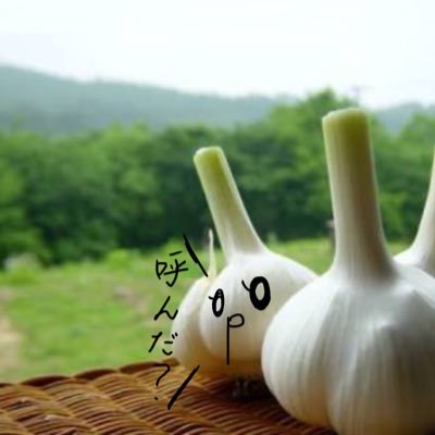 ゴルボさんのプロフィール画像