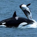 Monique Spencer - @MoniSpencer1212 - Twitter