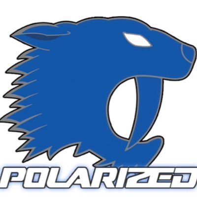 PolarizedESC's profile picture. Competitive gaming org| #Polarized