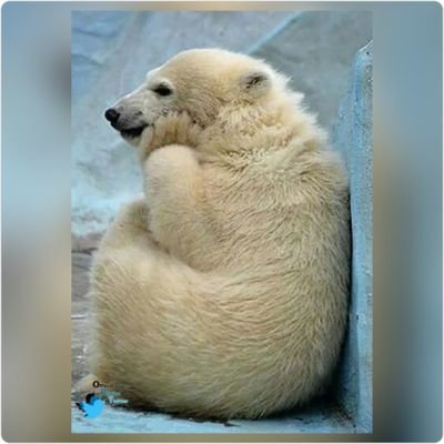 IyoshiKito's profile picture. ولی من هنوز منتظر فردام
