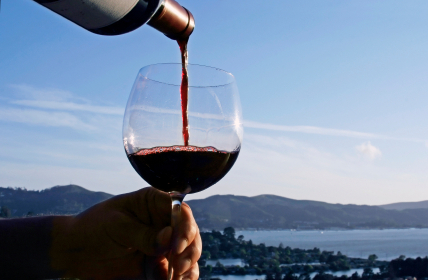 Turksewijnen's profile picture. Straatfotografie in Istanbul - http://t.co/UoZDtNbS1F