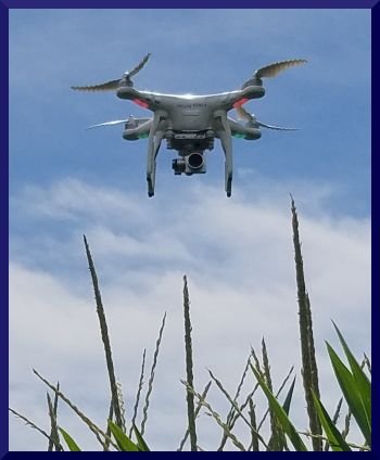 Dean Poignant is an aerial drone/uas photographer, farmer, and teacher, who understands how drone services can benefit ag producers.