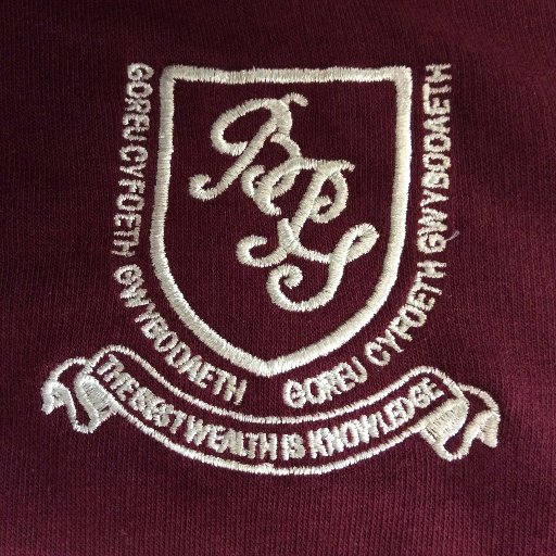 Brynmenyn Primary Profile