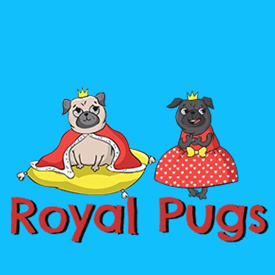 We sell the cutest pug products online
