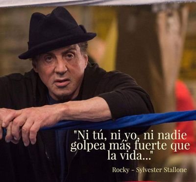 Miguel44486614's profile picture. Noticias Generales