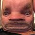Dave Hobday (@hobdave07) Twitter profile photo Dave Hobday (@hobdave07) Twitter profile photo