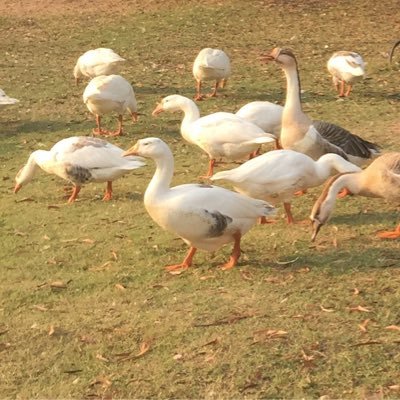 arunthetony's profile picture. 