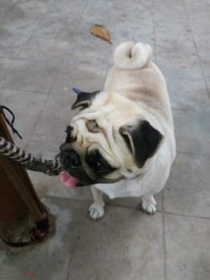 Manu508M's profile picture. crazy_fan_of_Enrique Iglesias 
Royal challengers Bangalore 
die hard fan of virat AB 
              Kannadathi
               Bangalore