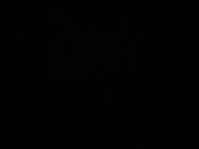 miku1024dance's profile picture. 