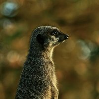 Jonthan Munro (@mrjonathanmunro) 's Twitter Profile Photo