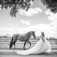 Samala Carrington (@snobbride) 's Twitter Profile