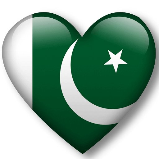 PoliticalWarior's profile picture. An ordinary overseas #Pakistani whose heart beats for #Pakistan. Against #corrupts & #corruption. Rebellion nature. Hate current Pakistani system. An arrogant.