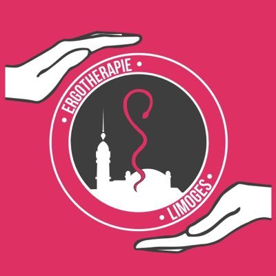 ErgoLimoges's profile picture. Filière Ergothérapie de l'ILFOMER. L' ALLER regroupe les étudiants en ergothérapie de l'IFE de Limoges 🎓