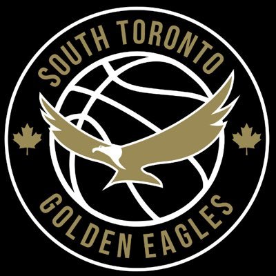 Not for Profit Basketball Club - teaching life skills through the sport of basketball in the Etobicoke region of Toronto since 2013.