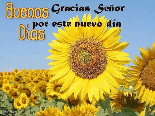 JuntosBolivar's profile picture. 