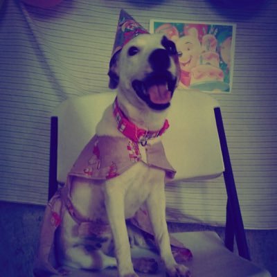 ericklaras17's profile picture. 