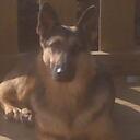 Casey Calhoun - @caseyCalhoun1 - Twitter