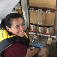 Linda Amaral Zettler (@plastisphere) 's Twitter Profile