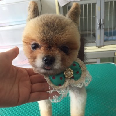 Fromace フロムエース Fromace3912 Twitter Fromace フロムエース Fromace3912 Twitter