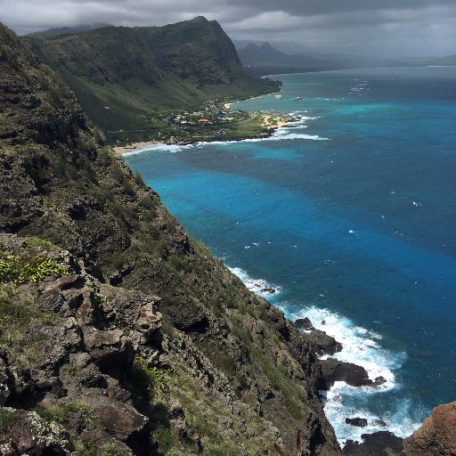 KosherFandT's profile picture. 