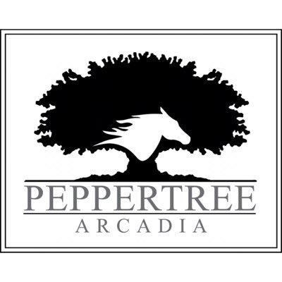 Peppertree Arcadiaはシドニー郊外に位置する乗馬クラブです。現在約30頭のお馬さん、3匹のわんちゃん、5人の日本人スタッフ、どら美とミカン(猫)が共に生活しております。日本人スタッフ募集中です。詳しくはwebで↓