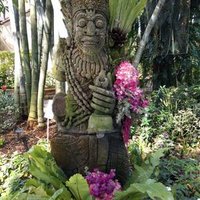 InmanRoshi (@inmanroshi) 's Twitter Profile Photo InmanRoshi (@inmanroshi) 's Twitter Profile Photo