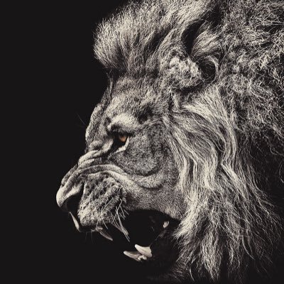 mylongday's profile picture. 