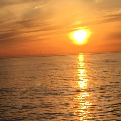 dchrist2515's profile picture. 