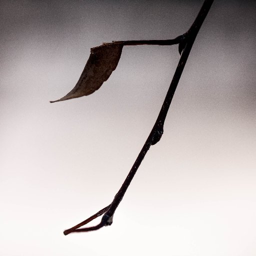 marlis_ps's profile picture. Photographer & Dreamer