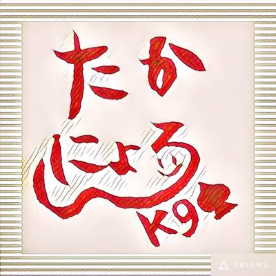 ref21stpp's profile picture. i'm not ポーカーガチ勢 i'm not 萌えゾーンの住人 i am ポーカーエンジョイ勢