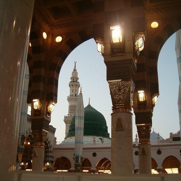 TowerJawaid's profile picture. 