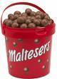 MalteserGirl Profile Picture