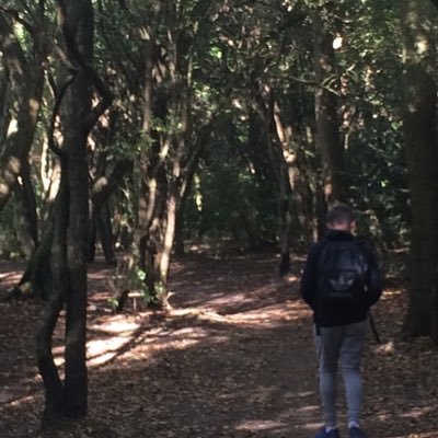 DylanFN2's profile picture. English Premier League