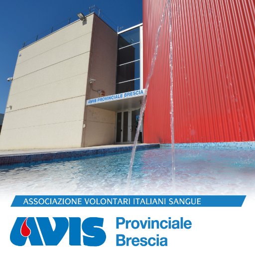 Avis Provinciale Brescia Organizzazione No Profit