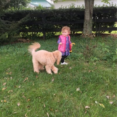 rprine2's profile picture. 