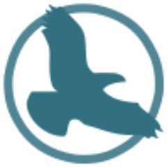 avioprodotti's profile picture. Il vostro ecommerce per volo, droni e nuove tecnologie.
Venite a scoprirci!