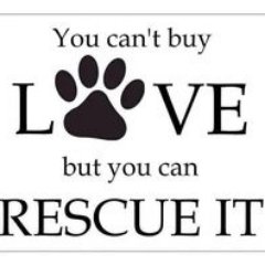 An account dedicated to posts of animals available for adoption! Always email petluver88@aol.com or inbox for more info on any pet posted.