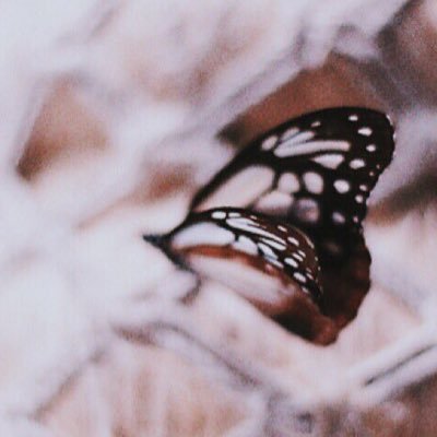 hana11_carol's profile picture. 写真と版画を制作しています 作品はInstagramから 好きな本や展覧会のことも