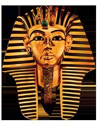 DickiePeez's profile picture. June-Ricci's Daddy