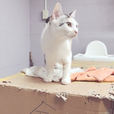 六枋璟檀さんのプロフィール画像