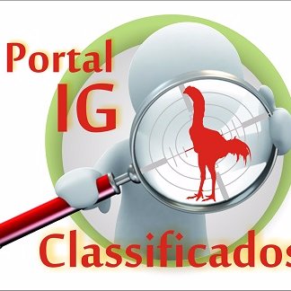 PortalIG é um site de classificados online direcionado para o mundo do Índio Gigante