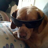 Tom (@n4tv) 's Twitter Profile