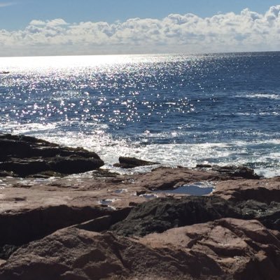 kvecchitto's profile picture. Type 1 diabetic of 30 years with thyroid disorder & Celiac Disease, wife, mother of two teenagers & a dog, certified phlebotomist