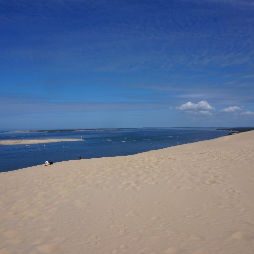 pascalimon85's profile picture. 