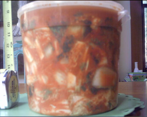 kimcheefairy's profile picture. 